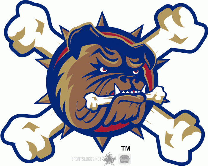 Hamilton Bulldogs 2005 06 Anniversary Logo iron on transfers for clothing